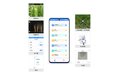 新竹市小麦表型检测仪IN-XM04